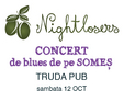 concert nightlosers truda pub cluj