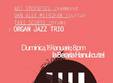concert organ jazz trio la beraria hanul cu tei