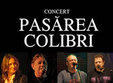 concert pasarea colibri in phoenix