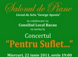 concert pentru suflet la bacau