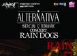 concert rain dogs in expirat