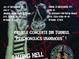 concert raizing hell si insect politics in piatra neamt