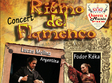 concert ritmo del flamenco