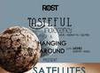 concert satellites in timisoara