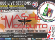 concert smashed mosquito in club mojo