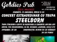 concert steelborn in alba iulia