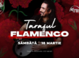 concert taraful flamenco