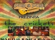 concert the crickets craiova