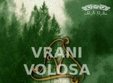 concert warchant si vrani volosa in timisoara