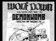 concert wolf down si demonwomb in sibiu