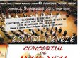 concertul de anul nou