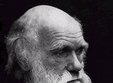 conferinta amagirea lui darwin implicatiile sociale si politice ale darwinismului timisoara
