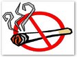 conferinta think free go smoke free la costinesti