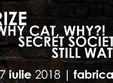 crize why cat why secret society still waters