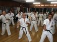 cupa romaniei de karate kyokushin se tine la sibiu