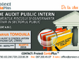  curs de audit public intern managementul riscului si guvernan