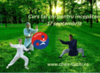 curs de tai chi chuan pentru incepatori