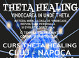 poze curs theta healing bucuresti trainer dr mircea ioan popa