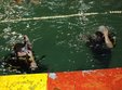 poze cursuri de scufundari in bucuresti 24 reducere