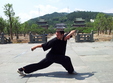 cursuri wushu