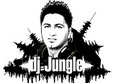 dj jungle party