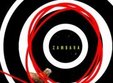 dj optik in timisoara