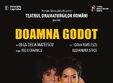 doamna godot