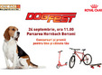 dogfest 2017 hornbach berceni