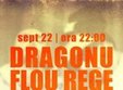 dragonu flou rege si dj grigo