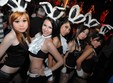  easter bunnies party in motive room