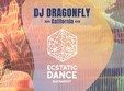 ecstatic dance wide horizon dj dragonfly