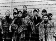poze evenimente dedicate holocaustului la timisoara