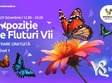 expozi ia de fluturi vii o experien a interactiva pentru toata 