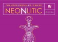 expozi ia itineranta neonlitic pana pe 29 mai casa artelor din t