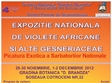 expozitia nationala de violete africane si alte gesneriaceae