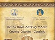 expozitie doua lumi aceeasi magie ceramica cucuteni gumelnita la muzeul de istorie si arheologie