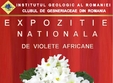 expozitie nationala de violete africane la muzeul national de geologie