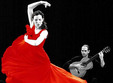 festival flamenco la bucuresti