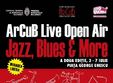 festivalul arcub live open air jazz blues more 2013