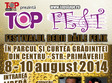 festivalul berii top fest felix 2014 
