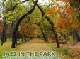 festivalul jazz in the park