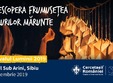 festivalul luminii 2019 la sibiu