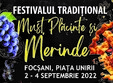 festivalul traditional must placinte si merinde