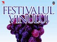 festivalul vinului arad 2013