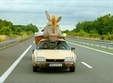film europolis 