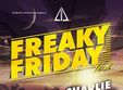 freaky friday festival 2014 la sibiu