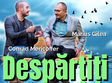 comedia despar i i din dragoste 