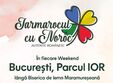 iarmarocul cu noroc 