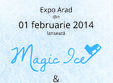 inaugurare pationar magic ice expo arad