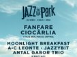jazz in the park 2018